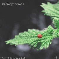 Putrid Snow - Slow It Down by Tchik Tchak Records