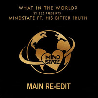 Sy Sez Presents, Mindstate, His Bitter Truth - What In The World (Main Re-edit) by Kyriazopoulos Dimitris