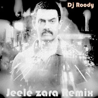 Jeele zara ft vishal dadlani ( club remix ) RoodY by Roody Bajaj