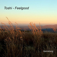 Feelgood by Toshi