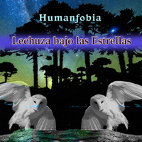 Lechuza Bajo las Estrellas by Humanfobia