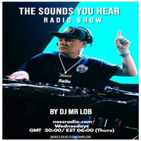 The Sounds You Hear #60 on nessradio.com (All Vinyl Show) by Mr Lob