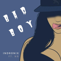 Bad Boy (Feat. NB) - Indronix by Indronix