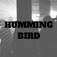 HUMMING BIRD by JIM PAPE