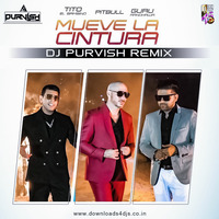 Mueve La Cintura (Remix) - DJ Purvish by Downloads4Djs