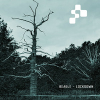Beagle - Lockdown (Clips) by Agency12