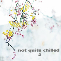 Not Quite Chilled - 2 by Bobby Lloyd
