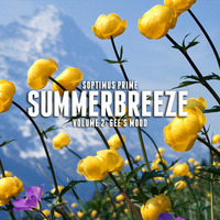 SummerBreeze Vol.II (2020) by Soptimus Prime
