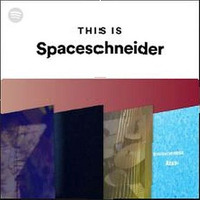 This Is Spaceschneider - essential tracks