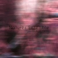 Natures Ensemble by Brad Majors