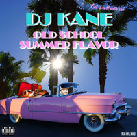 DJ KANE - Old School Summer Flavor (Real Vinyl Mixed!) by DeejayKane