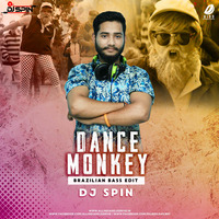 Dance Monkey (Brazilian Bass Edit) - DJ Spin by AIDD
