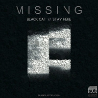 Missing - Black Cat / Stay here / Shrieks [SUBPLATE-034]