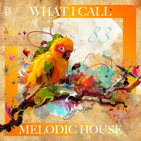 What I Call Melodic House Vol.83 by Emre K.