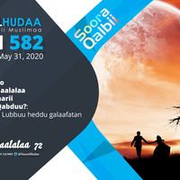 RNH 582, May 31, 2020 Soora Qalbii by NHStudio
