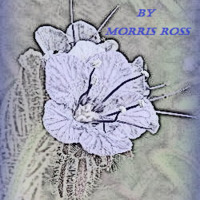 Amor Flor (Love Blossom) by Morris Ross