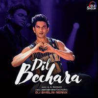 Dil Bechara (A.R Rahman) Dj Shelin Remix by Dj Shelin