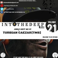 IntoTheDeep Vol 21 Guest Mix By Turbian Caezar[TMS Podcast] by Chef RayzorFihMusika