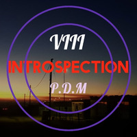 P.D.M - Introspection VIII (Guestmix) by Introspection Podcast