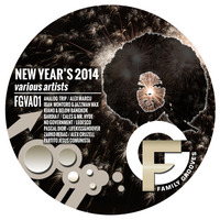 FGVA01: NEW YEAR'S VA-OUT NOW