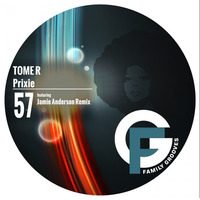 FG057 : Tome R - Prixie (Original Mix) by Family Grooves