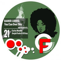 FG021 : Damir Ludvig - You Can Own This (Sergio Pardo & DJ Gray Remix) by Family Grooves
