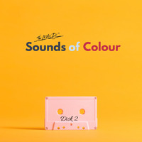 06. Metro DJ-Sounds Of Colour (Original Mix) by The Metro DJ