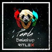 Desiginer - Panda Ritlex Smashup by  Ritlex