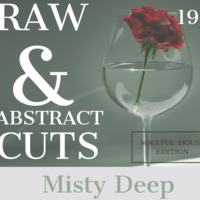 Misty Deep-Raw &amp; Abstract Cuts Vol 19-Soulful House Edition by Rawabstractcuts