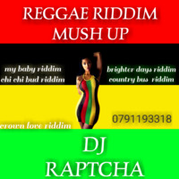 DJ RAPTCHA REGGAE RIDDIMS MUSH UP by DJ RAPTCHA
