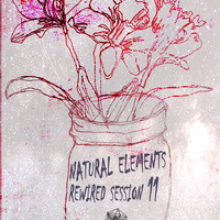 Natural Elements Rewired Session 11 with Scrooge kmoa by Scrooge K.mo.A