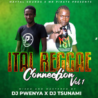 DJ TSUNAMI FT DJ PWENYA - ITAL REGGAE CONNECTION VOL 1 by djpwenya