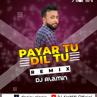 Payar Tu Dil Tu - ( R E M I X ) - DJ AlaMiN by DJ AlaMiN