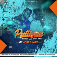 Puliyan Par ( Remix ) | DJ Amit Singh | Bhojpuri EDM Remix | Nextlevelbhojpuri  | Dance Remix by DJ Amit Singh Official