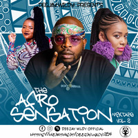 DJ WILDY _ THE AFRO SENSATION MIXTAPE Vol.2 (OFFICIAL AUDIO MIXTAPE) by Wildy_Ke