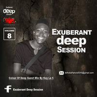Exuberant Deep Session vol.8 Guest mix by Kay la 5 by Exuberant Deep Session