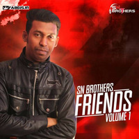 SN Brothers Friends Vol 1 Fabdjs