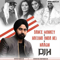 Dance Monkey Vs Nachna Odna Nei Vs Naagin (Dance Mix) - DJ H by Fabdjs