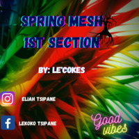 Spring Mesh 1st Section by Lekoko Tsipane