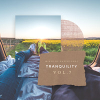 Tranquility Vol.7 Mixed By Native Soul by Native Soul