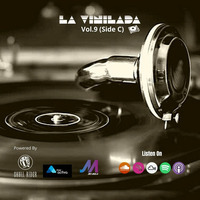 La Vinilada Vol 9 (Side C) by Javi Mula