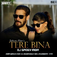 Tere Bina (Salman Khan) Dj Spidey India by Dj Spidey India