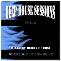 Deep House Sessions Vol. 5 Guest Mix By BisoDeep by BisoDeep