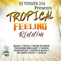 TROPICAL FEELINGS RIDDIM - DJ VINMER 254 by DJVINMER254
