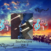 Soulvaccine - Vol.7 (Mixed by Terraz) by Terraz