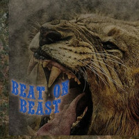 Beat On Beast  (Afrohouse) - Mixed by Terraz by Terraz