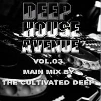 Deep House Avenue Vol.03 // Main Mix By The Cultivated Deep by Deep House Avenue