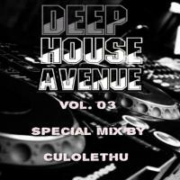 Deep House Avenue Vol.03 // Special Mix By Culolethu by Deep House Avenue