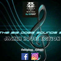 DJ Doggy - The Big Dogg Sounds 8 (Jackin house edition by DJ Doggy