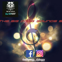 DJ Doggy - The Big Dogg Sounds 9 (R&amp;B Hip Hop Hitter) by DJ Doggy